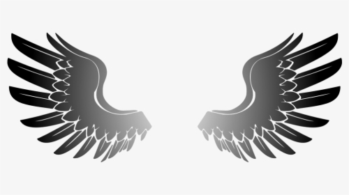 Wings, Angel, Eagle, Bird, HD Png Download, Free Download