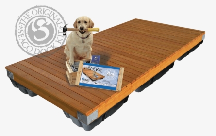 Dock Dog And Dock Kit - Golden Retriever, HD Png Download, Free Download