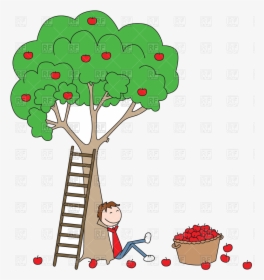 Apple Tree Cartoon Boy Sitting Under With Basket Full - Boy Sitting Under The Tree, HD Png Download, Free Download