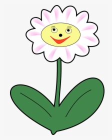 Happy Spring Png -daisy Flower Plant Face Happy Spring - Planta Feliz, Transparent Png, Free Download