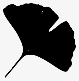 This Free Icons Png Design Of Gingko Leaf C - Black Ginkgo Leaf Transparent, Png Download, Free Download