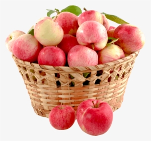 Transparent Apple Basket Clipart - Collective Nouns Of Apples, HD Png Download, Free Download