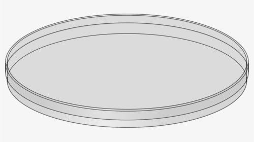 Transparent Dirty Dishes Png - Empty Petri Dishes, Png Download, Free Download