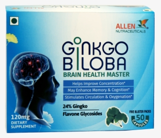 Ginkgo-biloba - Brain, HD Png Download, Free Download