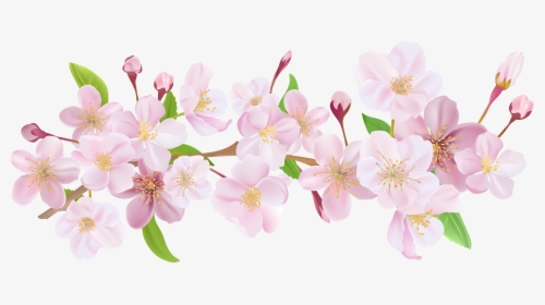 Clip Art Cherry Blossom Clip Art - Png Cherry Blossom Art, Transparent Png, Free Download