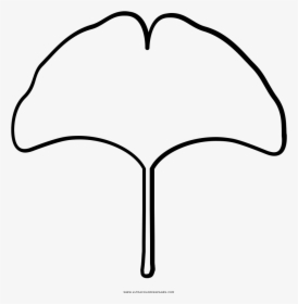 Ginkgo Leaf Coloring Page - Line Art, HD Png Download, Free Download