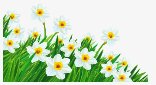 Spring Grass With Flowers Png Transparent Background - Transparent Background Spring Flowers Clipart, Png Download, Free Download