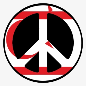 Transparent Pirate Flag Png - Symbols For Andrew Jackson, Png Download, Free Download