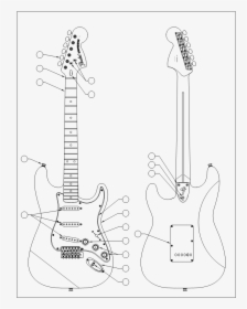 Fender Stratocaster Parts, HD Png Download, Free Download