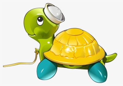 Turtle, HD Png Download, Free Download