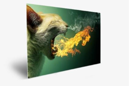 Cat Mouth Fire, HD Png Download, Free Download