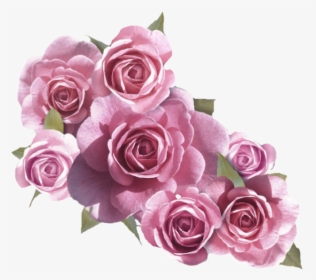 White And Pink Flowers Png, Transparent Png, Free Download