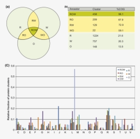 Diagram, HD Png Download, Free Download