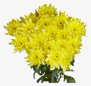 Bouquet, HD Png Download, Free Download