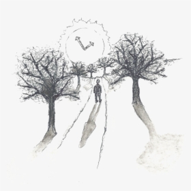 Oak, HD Png Download, Free Download