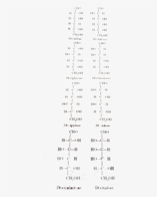 Document, HD Png Download, Free Download