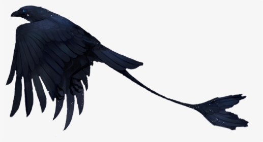 #bird #fantasy #scifi #raven #birds #black #cool #dark - American Crow, HD Png Download, Free Download