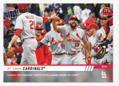 Louis Cardinals - 2019 St Louis Cardinals, HD Png Download, Free Download