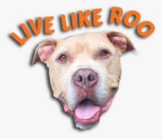 Live Like Roo Foundation Logo - Dog Yawns, HD Png Download, Free Download