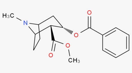 Cocaine 分子结构 Cas 50 36 2) - 2 -( Tert Butylamino )- 1 -( 3 Chlorophenyl Propan, HD Png Download, Free Download