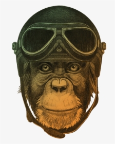 Ape Thinker"s Services Background - Monkey With Hat, HD Png Download, Free Download