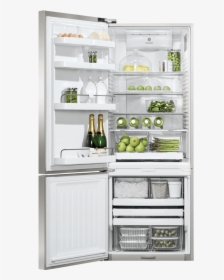 Fisher Paykel Rf135bdlx4 Freezer Refrigerator, HD Png Download, Free Download