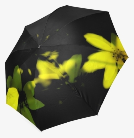Flowers Foldable Umbrella - Umbrella, HD Png Download, Free Download
