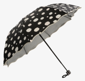 Umbrella, HD Png Download, Free Download