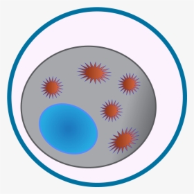 Circle, HD Png Download, Free Download