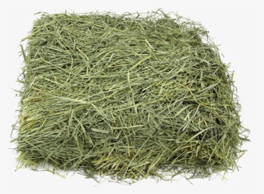 Square Hay Png Free Download - Bluegrass Hay, Transparent Png, Free Download
