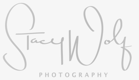 Stacy Wolf Photography - Calligraphy, HD Png Download, Free Download