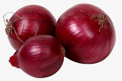 Onion Male Or Female, HD Png Download, Free Download