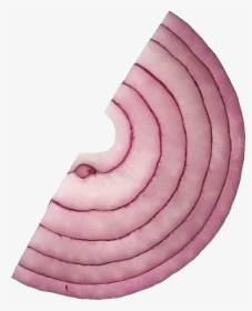 Sliced Onion 4 - Red Onion, HD Png Download, Free Download
