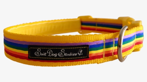 Transparent Dog Collar Clipart - Bracelet, HD Png Download, Free Download