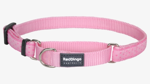 Martingale Love Sprinkles Dog Collar - Light Pink Martingale Dog Collar, HD Png Download, Free Download