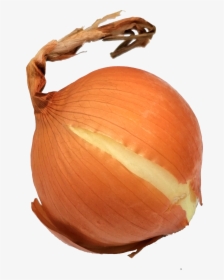 Onion-3 - Yellow Onion, HD Png Download, Free Download