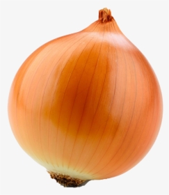 Onion Stock, HD Png Download, Free Download