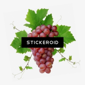 Red Grape Png With - Grape .png, Transparent Png, Free Download