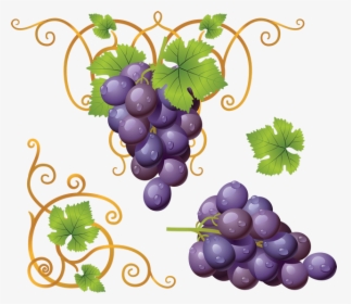 Transparent Background Grape Clipart, HD Png Download, Free Download