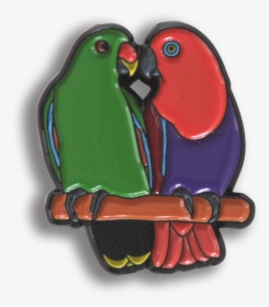 Parrot, HD Png Download, Free Download