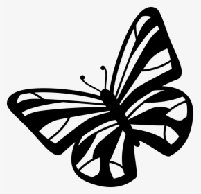 Butterfly Variant - Butterfly, HD Png Download, Free Download