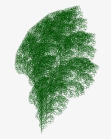 A Fractal Plant Generated Using Axiom F, Production - Drawing Of A Bush, HD Png Download, Free Download