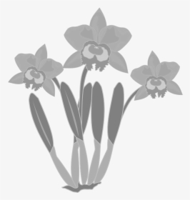 Orchid Cattleya Silhouette, HD Png Download, Free Download
