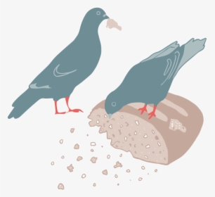 Two Pigeons Eating Bread - Common Gallinule, HD Png Download, Free Download
