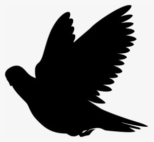 Flying Bird Vector Png, Transparent Png, Free Download