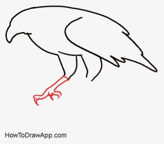 How To Draw An Eagle Sitting On A Tree - Draw An Eagle Claw, HD Png Download, Free Download