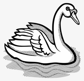 Art,monochrome Photography,duck - Swan Clipart, HD Png Download, Free Download