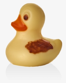 Duck, HD Png Download, Free Download