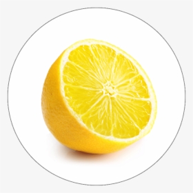 Icon - Photography, HD Png Download, Free Download