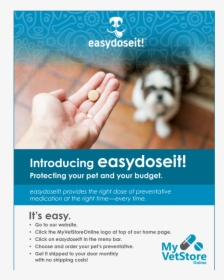 Dog And Pill Meme, HD Png Download, Free Download